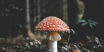 Unsplash Dm QxdynoEc