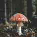 Unsplash Dm QxdynoEc