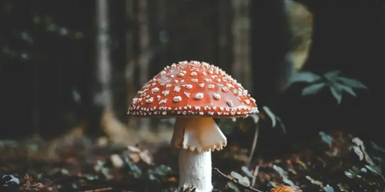 Unsplash Dm QxdynoEc