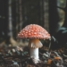 Unsplash Dm QxdynoEc