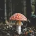 Unsplash Dm QxdynoEc