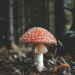 Unsplash Dm QxdynoEc