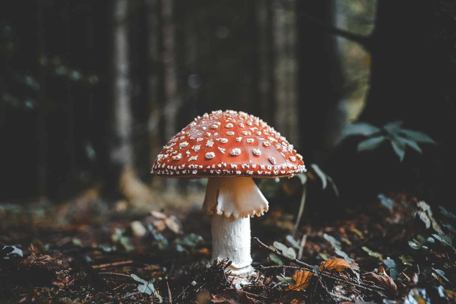 Unsplash Dm QxdynoEc