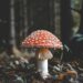 Unsplash Dm QxdynoEc